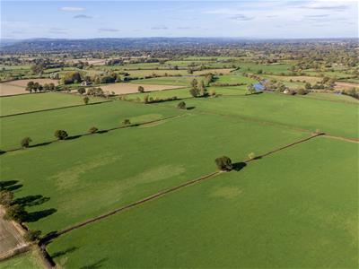 Click to view more details